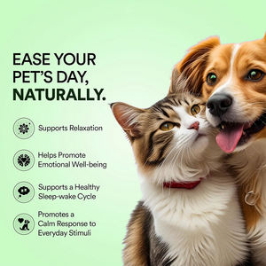 Bandelettes buccales apaisantes pour adultes et animaux de compagnie, saveur myrtille menthe, favorisant la relaxation et une meilleure absorption, support OEM/ODM, échantillon gratuit - Product Image 6