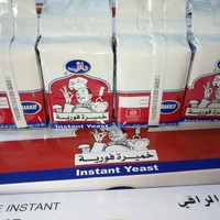 Levain Instantané Sec Haute Activité 500g Personnalisable Marque OEM pour la Fermentation de la Pâte à Pain et à Pizza