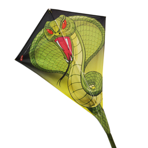 2025 nouveau multi-modèle longue queue diamant cerf-volant cadeau pour enfants en plein air volant jouet dinosaure Pirates de Weifang - Product Image 5