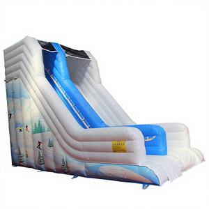Tobogán Inflable Temático para Niños WINSUN, Tobogán Seco de PVC para Parques Deportivos y Uso Público - Product Image 1