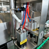 Machine de remplissage continue d'huiles comestibles avec pompe servo 12 têtes en acier inoxydable pour huile d'arachide, sauce moutarde, savon liquide