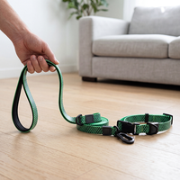 Ensemble collier et laisse pour chien NOVIPET avec points réfléchissants, résistant, imperméable en PVC, laisse réglable pour la sécurité des chiens la nuit, équipement de promenade