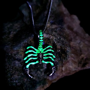 Collares con colgante de escorpión de <span class=keywords><strong>rey</strong></span> luminoso de Halloween que brillan en la oscuridad, collar creativo de acero inoxidable de escorpión - Product Image 2