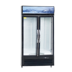 <span class=keywords><strong>Congélateur</strong></span> <span class=keywords><strong>vertical</strong></span> commercial solaire et électrique à 2 portes de 1200 mm avec éclairage LED - Product Image 1