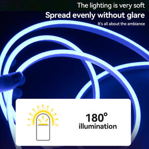 Tira de Luces <span class=keywords><strong>LED</strong></span> de Neón Flexible para Decoración de Exteriores, DC12V, IP65, Color de Ensueño, 5M, <span class=keywords><strong>Tubo</strong></span> de Silicona, SMD2835, 120 <span class=keywords><strong>LED</strong></span>/M - Product Image 5