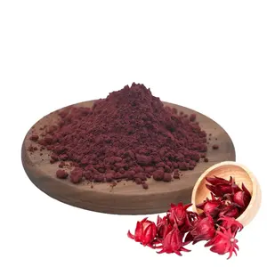 Approvisionnement d'usine 100% Haute Qualité Hibiscus Fleur Ruselle Extrait Rose Aubergine Extrait Poudre