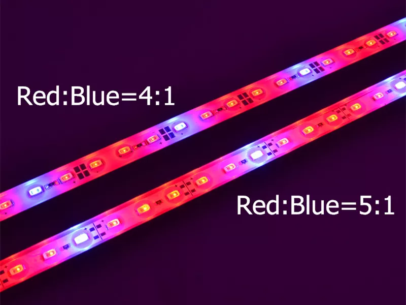 Full Spectrum Greenhouse Hydroponic Led Rigid Strip Red+blue+white 50cm Led Grow Light bar