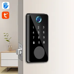 Phone APP Touch Screen Keypad Password Smart Door Lock WIFI Digital Password Smart Lock