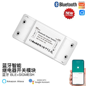   สมาร์ทสวิตช์ 10A 90-250V AC ฟังก์ชั่นตั้งเวลา โมดูลบ้านอัจฉริยะ Tuya - Product Image 3