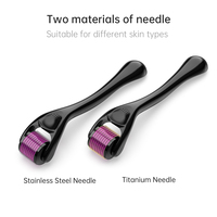 Rouleau Derma DRS 540 personnalisé OEM/ODM, rouleau à micro-aiguilles en titane portable, aiguilles de 0,5 mm/1,5 mm, adapté aux soins de la peau à domicile