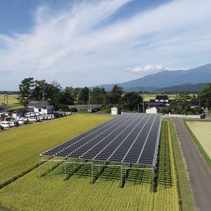 Sistema de Granja Solar Agrícola de 1MW 3MW al por Mayor con Soporte de Suelo Fotovoltaico NS-farm-6 AL6005-T5 - Product Image 6