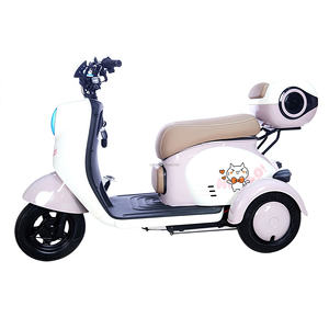 Tricycle cargo électrique 48V à carrosserie ouverte en acier pour adultes et seniors, puissance 600W, certifié CE, 2 passagers - Product Image 3