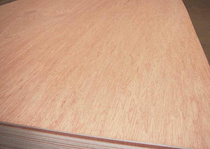 <span class=keywords><strong>Precio</strong></span> al por Mayor <span class=keywords><strong>de</strong></span> Lámina <span class=keywords><strong>de</strong></span> Madera Contrachapada <span class=keywords><strong>de</strong></span> <span class=keywords><strong>Cedro</strong></span> Rojo Comercial <span class=keywords><strong>de</strong></span> 4x8 18mm 1200x2400mm - Product Image 6