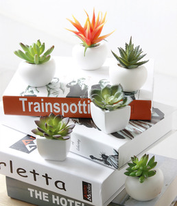 G512 Decorazione Casa e Matrimonio, Pianta Succulenta Artificiale in Vaso Sospeso, Effetto Realistico, Resistente ai Raggi UV, Ecologica e Durevole - Product Image 6