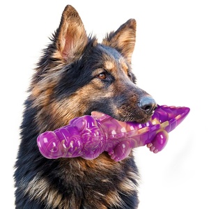 Nouveau jouet à mâcher pour chien en nylon en forme <span class=keywords><strong>de</strong></span> crocodile, extra-durable, texturé, saveur bœuf, parfait pour nettoyer les dents et les gencives du chien, os résistant pour chien - Product Image 4