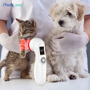 Laser veterinário portátil para terapia física 808nm 650nm com exposição para cuidados de saúde de animais