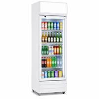 Réfrigérateur vertical mince pour boissons, 300 litres, vitrine réfrigérée avec éclairage supérieur et étagères réglables pour bar et magasin