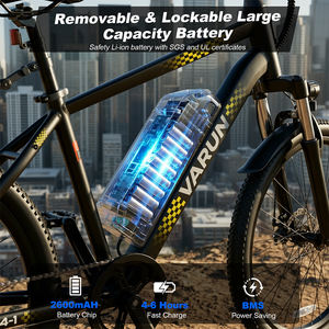 Stock Dropshipping VARUN Vélo Électrique Tout-Terrain 24 pouces 350W 32KM/H Frein à Disque Mécanique pour Trajets en Forêt Femme États-Unis 3-7 Jours Ouvrables - Product Image 2