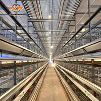 Oferta Especial: Nueva Jaula Automatizada Tipo H para Gallinas Ponedoras, Equipo de Cría de Aves de Corral, Jaula de Batería para Granja Avícola 50000