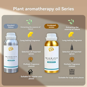Olio Diffusore Speciale per Hotel, Varie Misure, Elimina gli Odori, Offre una Fragranza Delicata e Duratura per Zone Commerciali e Ambienti Domestici - Product Image 3