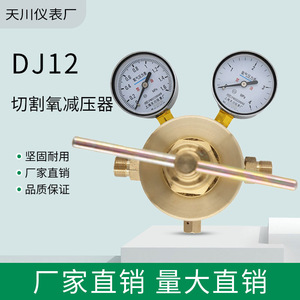 Régulateur de pression d'oxygène Shanghai Tianchuan JD12 en laiton, à commande manuelle monophasée - Product Image 3