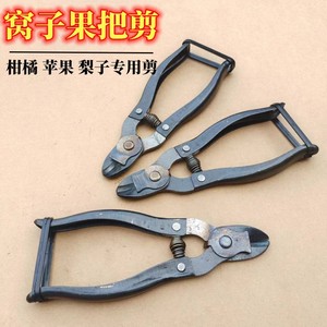 กรรไกรตัดผลไม้ด้ามเหล็ก ใบมีดเหล็กคาร์บอน หัวกลม กรรไกรทำสวน สีดำ คุณภาพระดับ DIY - Product Image 4