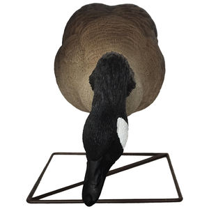 Outdoor-Sport jagd Verwenden Sie lebens treue Körper haltungen Jagd Lockvögel Kunststoff Kanada Gans Lockvögel - Product Image 3