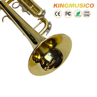 Bb Trumpet Brass Body with Gold Lacquer Finish | Stainless Steel Valves, 120mm Bell | Student & Band Trumpet OEM Factory Supply