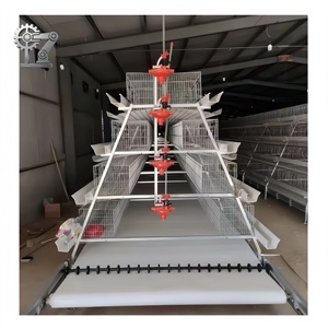 Sistema <span class=keywords><strong>a</strong></span> batteria in acciaio zincato per gabbie per galline ovaiole di tipo <span class=keywords><strong>A</strong></span>, molto richiesto nel mercato africano, per allevamenti avicoli - Product Image 5