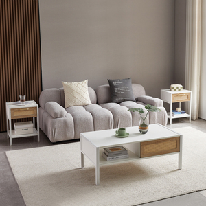 Table basse en rotin avec pieds en métal blanc, 40,16 pouces, style moderne, rangement pour salon, porte coulissante - Product Image 3