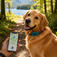 Traceur GPS pour chien Qcool avec appels vocaux, entraînement par vibration et son, 4G LTE, chargement magnétique, emballage personnalisé ODM, approvisionnement en gros