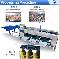 OCEAN Volledig Automatische Meloen- en Notengrootte Sorteermachine Avocado Cherry Tomatengrootte Sorteermachine Prijs