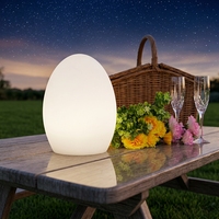 Oplaadbare LED-ei-vormige tafellamp voor binnen/buiten, 16 kleuren, afstandsbediening, Valentijnsdecoratieve nachtlamp voor restaurants