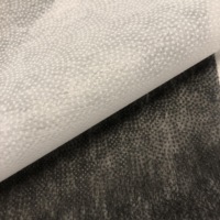 Accessoires de vêtement 100 Polyester, bon revêtement, thermocollage, tissu non tissé, fer intercalaire, pour chemise (#9040)