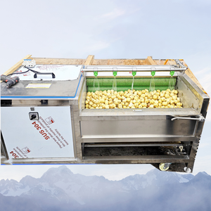 Máquina de lavado de verduras y frutas de acero inoxidable 304, 220/380V, para limpieza de raíz de loto, yam, jengibre, yuca y zanahoria - Product Image 4