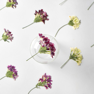 Verbena-Vela <span class=keywords><strong>con</strong></span> ramas para hacer jabón, planta Natural ecológica, flor prensada en marco - Product Image 3