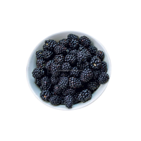 IQF Diepvries Zwarte Bessen Hele Premium Bessen 70% Zwart 30% Rood Verhouding BRC Gecertificeerd Bulk Diepvries Fruit voor Smoothies Bakkerij