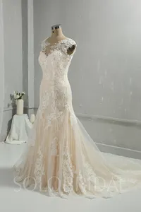 Champagne Fit And Flare Lace Wedding Gowns Wedding Dress