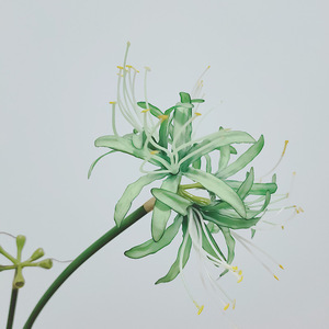 M822 Décoration florale Equinox de haute qualité, <span class=keywords><strong>Higanbana</strong></span> artificielle pour la décoration intérieure - Product Image 6