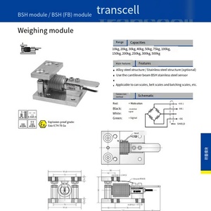 Módulos de Pesaje VEIDT para American Transcell BSH-100kgSS, BSH-150kgSS - Product Image 3