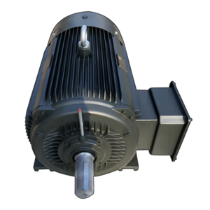 มอเตอร์เหนี่ยวนำไฟฟ้ากระแสสลับแบบอะซิงโครนัสสามเฟส 380V/460V สำหรับอุตสาหกรรม  รุ่น YE-H ซีรีส์ Y2 สามเฟส I - Product Image 4