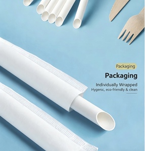 Tube en papier écologique personnalisé pour pailles jetables en papier et en plastique, emballage alimentaire de qualité supérieure en gros - Product Image 5