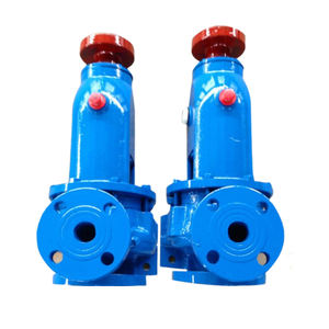 Bomba Centrífuga Horizontal de Succión Final para Riego Agrícola de Alta Presión del Fabricante - Product Image 5