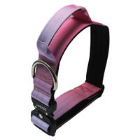 Collier pour chien en nylon rembourré personnalisé avec boucle en métal et anneau en D, design moderne, couleur et logo personnalisables, réglable et durable