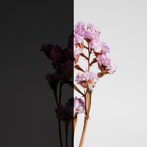 <span class=keywords><strong>Kit</strong></span> de teinture de vitres VLT réutilisable personnalisé 5%-30% pour voitures matériau TPU détachable prédécoupé Position du corps auto-cicatrisante - Product Image 5