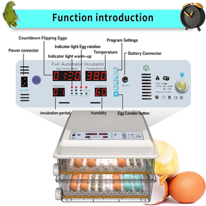 Bán buôn lớn thông minh tự động trứng lồng ấp 110V/220V với độ ẩm không đổi và nhiệt độ tự động cung cấp nước - Product Image 2
