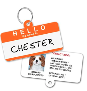 Pendentifs d'émotion amusants pour animaux de compagnie : colliers expressifs pour l'entraînement comportemental des chats et des chiens - Product Image 2