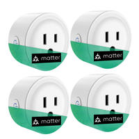 Prise intelligente Matter Smart Plug avec surveillance de la consommation d'énergie, minuterie, contrôle via Alexa/Google Home, application de contrôle à distance pour appareils électroménagers