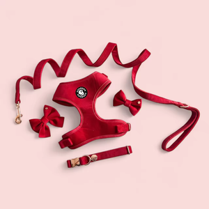 ชุดสายจูงสุนัขแต่งเองหรูหราหรูหราหรูหราชุดสายจูงสุนัขในงานแต่งงานชุดผูกโบว์ชุดสายรัดกำมะหยี่แบบกำหนดเอง - Product Image 2