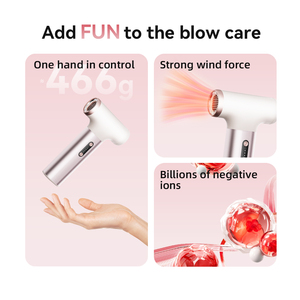Sèche-cheveux électrique sans fil professionnel à grande vitesse Mini Pet Dog Wall Mounted <span class=keywords><strong>Salon</strong></span> Hotel Sèche-cheveux électrique Set <span class=keywords><strong>de</strong></span> brosses pour cheveux - Product Image 5